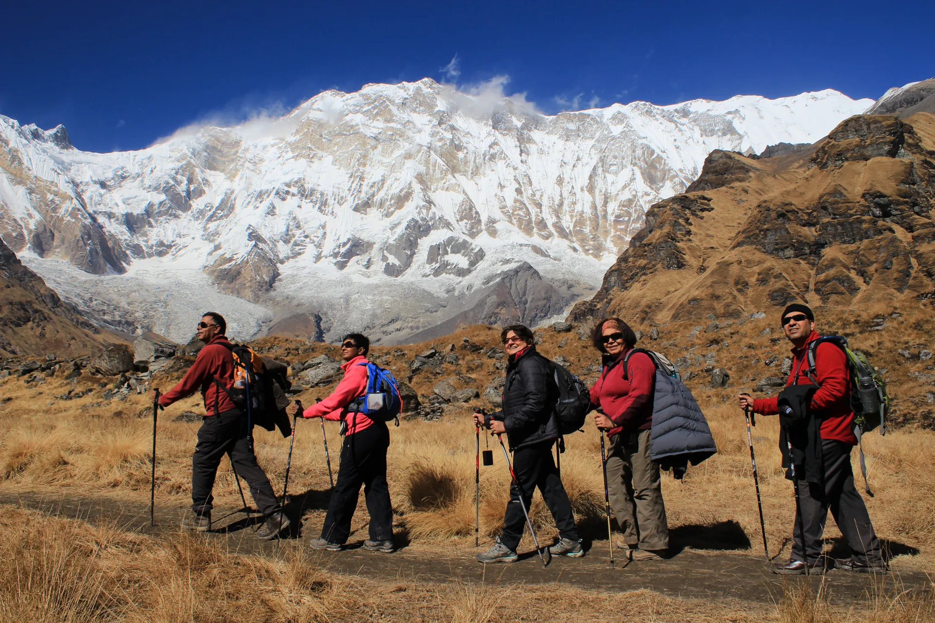 Five trekkers walking single file through golden grass with Annapurna massif behind