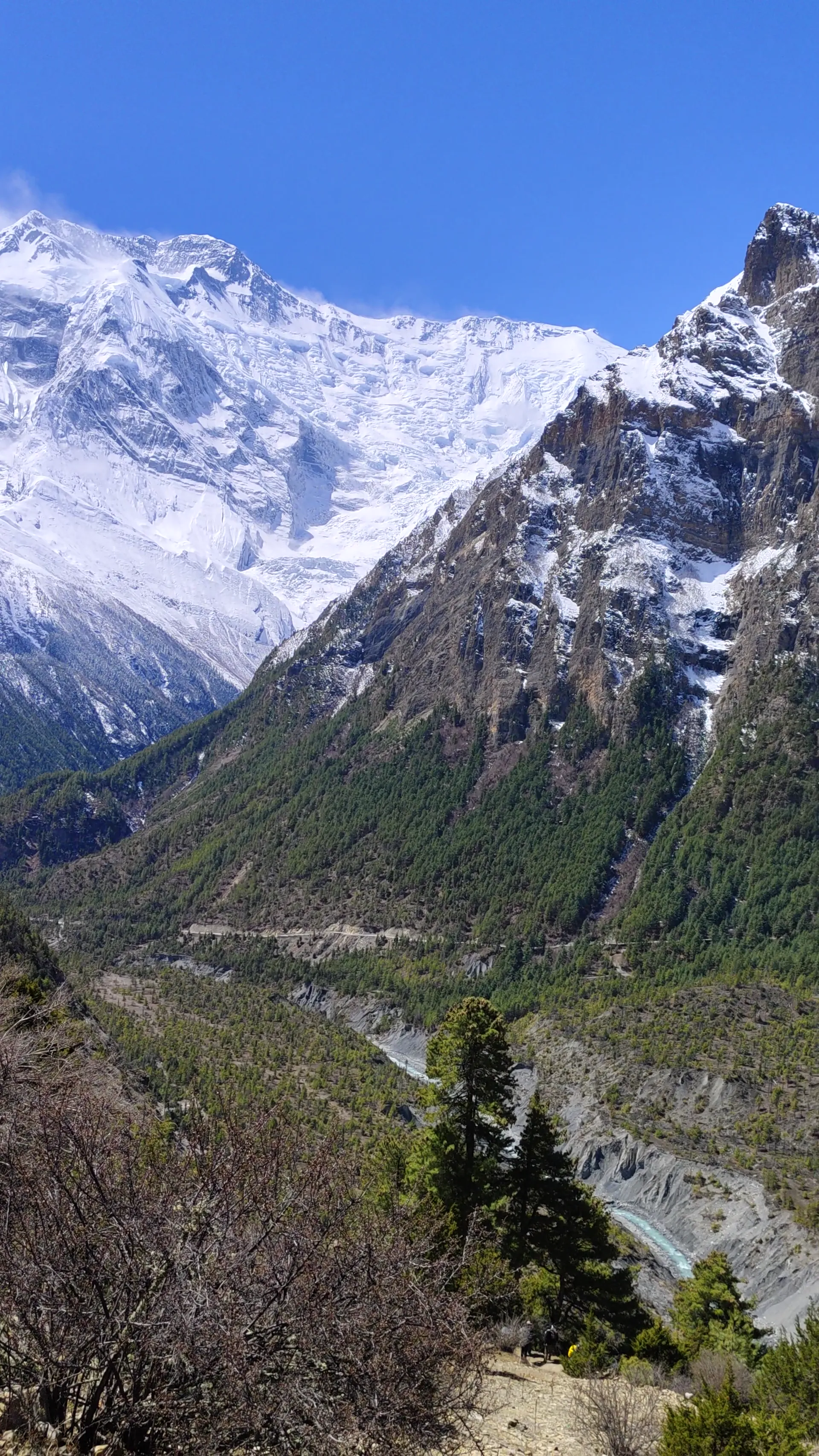 Snow-covered Annapurna peak above the forested Marsyangdi river valley