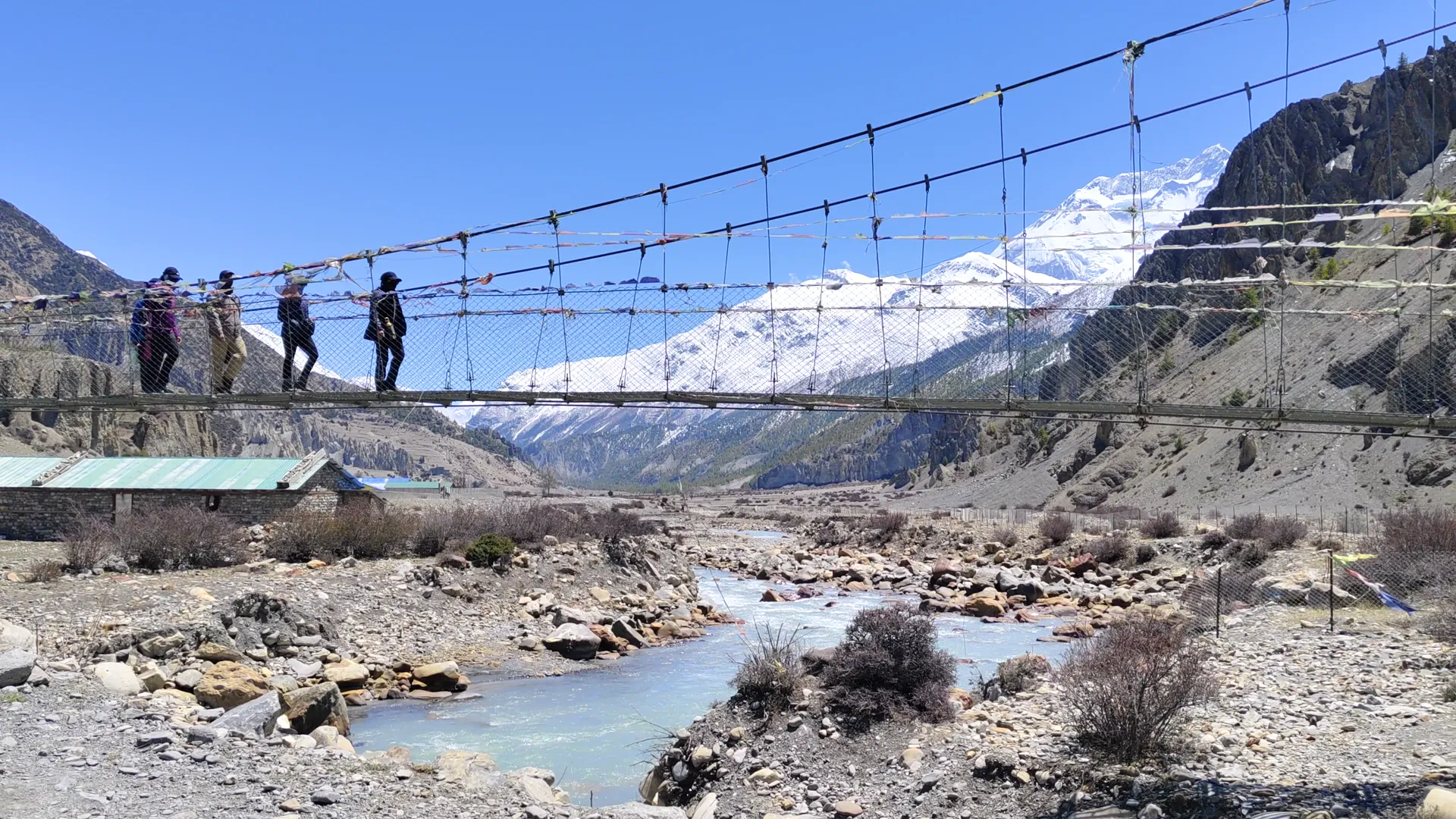 Trekkers crossing a suspension bridge over a blue river with snowy peaks