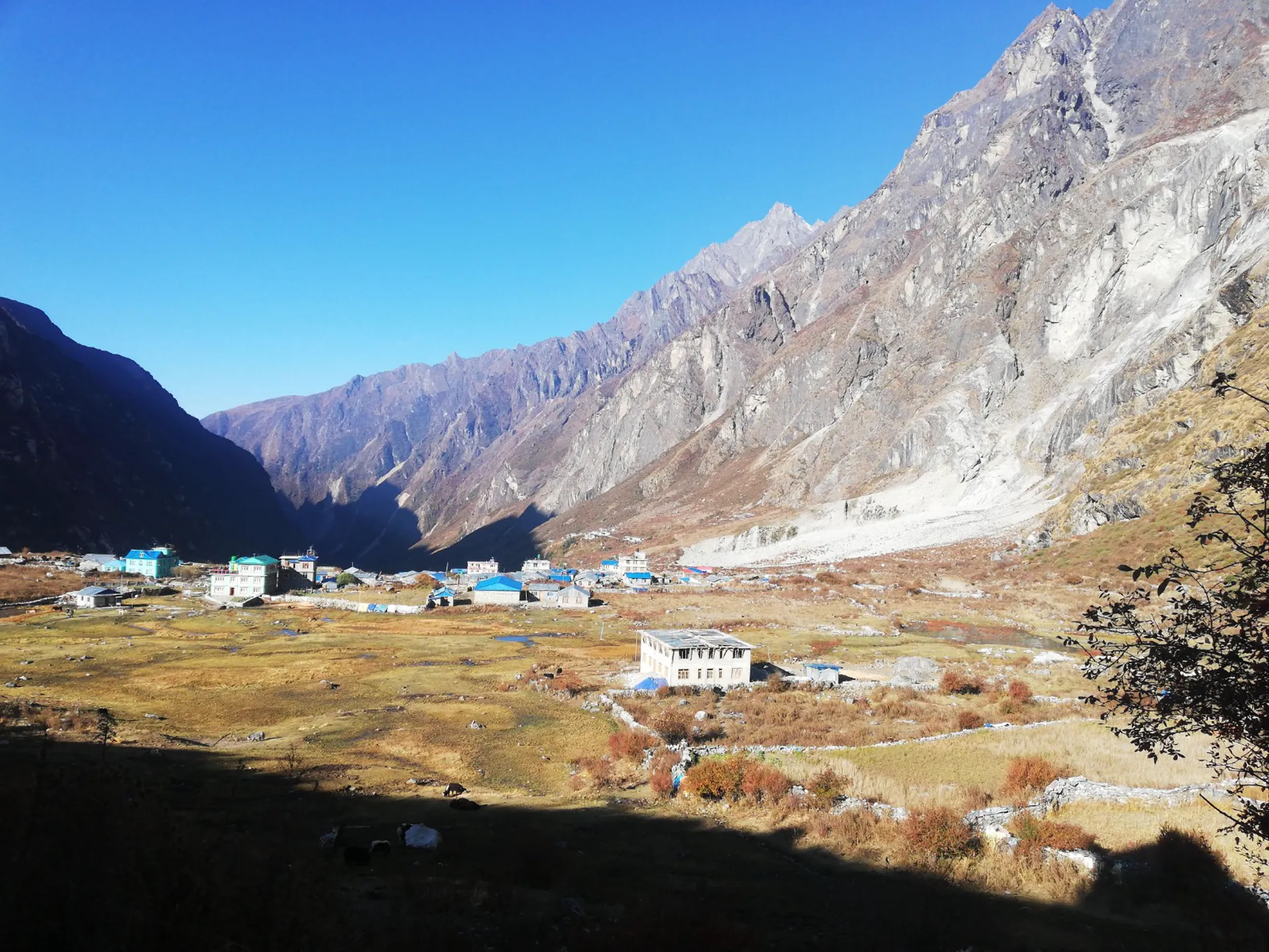 Langtang village settlement in a wide valley with teahouses and barren mountainside