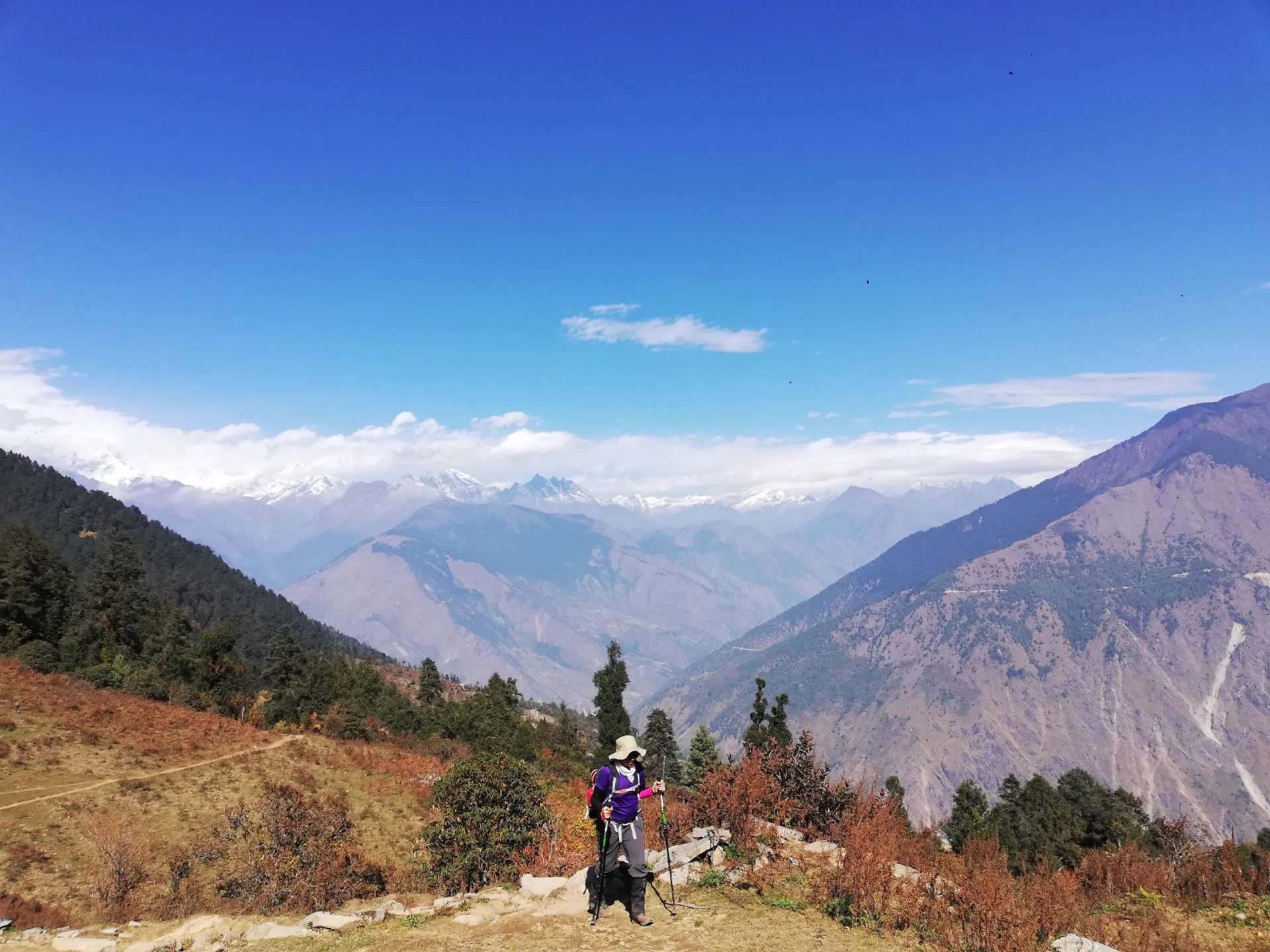 Solo trekker with poles walking through alpine meadow overlooking forested valley