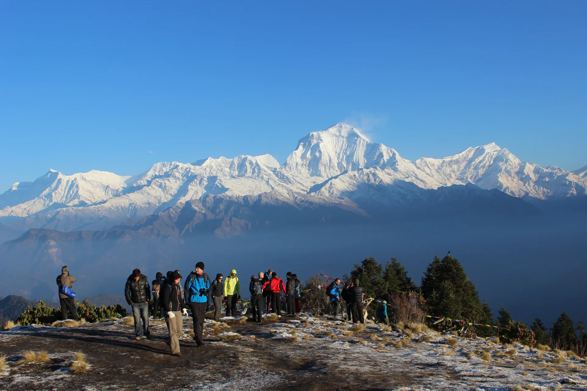 Trekkers gathered at the Poon Hill viewpoint at dawn with Dhaulagiri behind