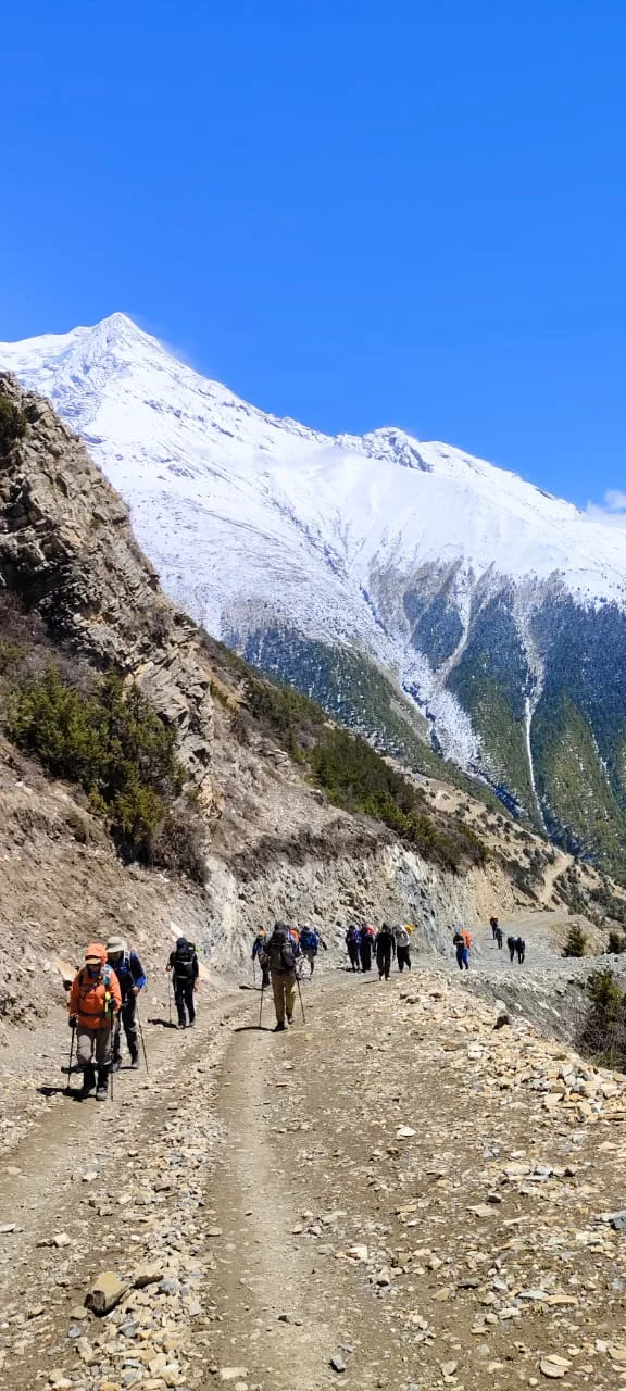 Trekkers hiking toward snow-capped peaks